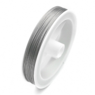 Gecoat draad 100 meter Transparant-zilver