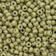 Miyuki rocailles 8/0 Duracoat opaque cactus green 8-4474