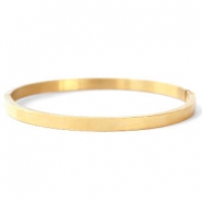 Roestvrij stalen (RVS) stainless steel armbanden Goud