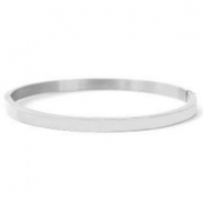 Roestvrij stalen (RVS) stainless steel armbanden Zilver