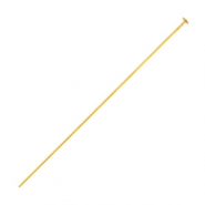 Roestvrij stalen (RVS) stainless steel onderdelen nietstift 40mm Goud