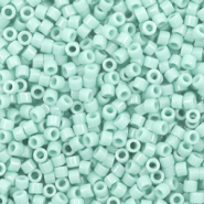 Miyuki kralen delica's 11/0 Duracoat opaque dyed mint aqua blue DB-2356