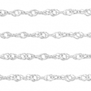 Roestvrij stalen (RVS) Stainless steel onderdelen weave jasseron Zilver