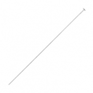 Roestvrij stalen (RVS) Stainless steel onderdelen nietstift 50mm Zilver