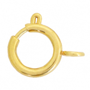 Roestvrij stalen (RVS) Stainless steel onderdelen slotje 14x17mm Goud