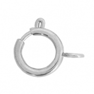 Roestvrij stalen (RVS) Stainless steel onderdelen slotje 12x14mm Zilver