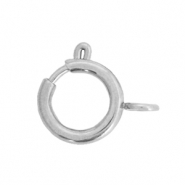 Roestvrij stalen (RVS) Stainless steel onderdelen slotje 10x12mm Zilver