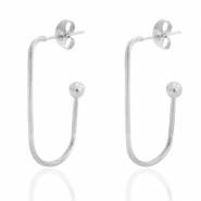 Roestvrij stalen (RVS) Stainless steel oorbellen Zilver