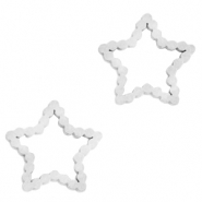 Roestvrij stalen (RVS) Stainless steel bedels/tussenstuk star Zilver