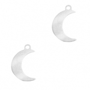 Roestvrij stalen (RVS) Stainless steel bedels maan Zilver