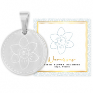 Roestvrij stalen (RVS) Stainless steel bedels Mix & Match 15mm Birth flower December-Narcissus Zilver