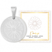 Roestvrij stalen (RVS) Stainless steel bedels Mix & Match 15mm Birth flower April-Daisy Zilver