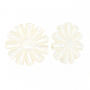 Schelp kralen zon White (natuurlijke kleur)