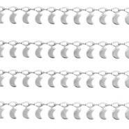 Roestvrij stalen (RVS) Stainless steel onderdelen jasseron maan Zilver