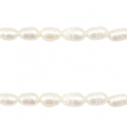 BQ Zoetwaterparels rice 7x5mm Natural white