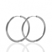 Roestvrij stalen (RVS) Stainless steel oorbellen creolen 24mm Zilver