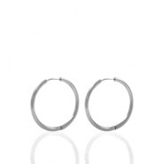 Roestvrij stalen (RVS) Stainless steel oorbellen creolen 14mm Zilver