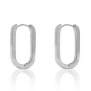 Roestvrij stalen (RVS) Stainless steel oorbellen oval Zilver
