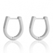 Roestvrij stalen (RVS) Stainless steel oorbellen horseshoe Zilver