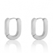 Roestvrij stalen (RVS) Stainless steel oorbellen oval Zilver