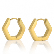 Roestvrij stalen (RVS) Stainless steel oorbellen hexagon Goud