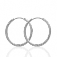 Roestvrij stalen (RVS) Stainless steel oorbellen creolen 19mm Silver