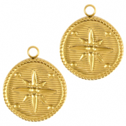 Roestvrij stalen (RVS) Stainless steel bedels ster Goud