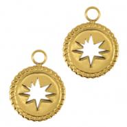 Roestvrij stalen (RVS) Stainless steel bedels ster Goud