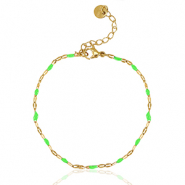 Roestvrij stalen (RVS) Stainless steel armbanden Green-gold