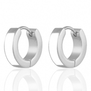 Roestvrij stalen (RVS) Stainless steel oorbellen White-silver