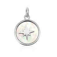 Roestvrij stalen (RVS) Stainless steel bedels schelp 10mm Silver-white (natuurlijke kleur)