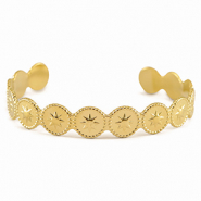 Roestvrij stalen (RVS) Stainless steel armbanden bangle star Gold