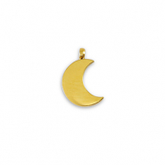 Roestvrij stalen (RVS) Stainless steel bedels La Luna maan Gold