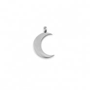 Roestvrij stalen (RVS) Stainless steel bedels La Luna maan Silver
