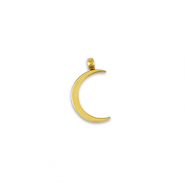 Roestvrij stalen (RVS) Stainless steel bedels La Luna maan Gold
