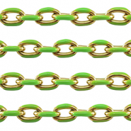 Roestvrij stalen (RVS) Stainless steel onderdelen jasseron ankerketting Gold-green