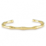 Roestvrij stalen (RVS) Stainless steel armbanden bangle Gold
