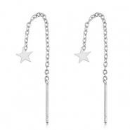 Roestvrij stalen (RVS) Stainless steel oorbellen ster Silver