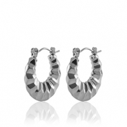 Roestvrij stalen (RVS) Stainless steel oorbellen creolen 20mm Silver