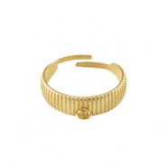 Roestvrij stalen (RVS) Stainless steel ringen met oogje Goud