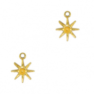 Roestvrij stalen (RVS) Stainless steel bedels ster Goud