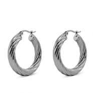 Roestvrij stalen (RVS) Stainless steel oorbellen creolen Silver