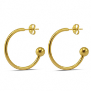 Roestvrij stalen (RVS) Stainless steel oorbellen 25mm Gold