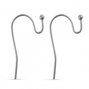Roestvrij stalen (RVS) Stainless steel oorbellen Silver