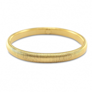Roestvrij stalen (RVS) stainless steel armbanden Gold