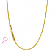 Roestvrij stalen (RVS) Stainless steel kettingen Gold