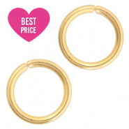 Roestvrij stalen (RVS) stainless steel onderdelen buigring 3mm Goud