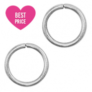 Roestvrij stalen (RVS) stainless steel onderdelen buigring 8mm Zilver