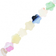 Schelp kralen bloem Multicolour pastel