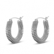 Roestvrij stalen (RVS) Stainless steel oorbellen / oorstekers Silver